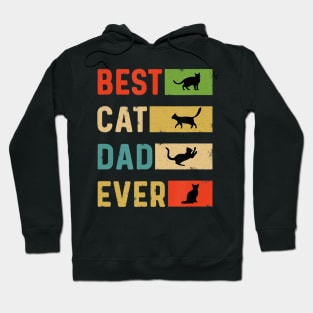 Best Cat Dad Ever Birthday Cool Daddy Cat Lover Hoodie